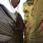 问鼎app下载的离线功能与使用技巧 3sly40