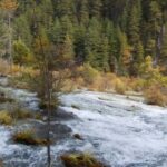 问鼎娱乐:新兴技术对娱乐行业的颠覆性影响 o3gmtym