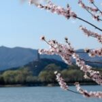 问鼎娱乐平台的热门游戏推荐与玩法解析 zfi1gvw1